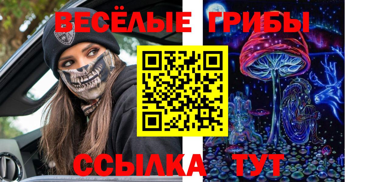Полевской  Псилоцибиновые грибы Psilocybine cubensis  наркошоп  Вход с VPN 