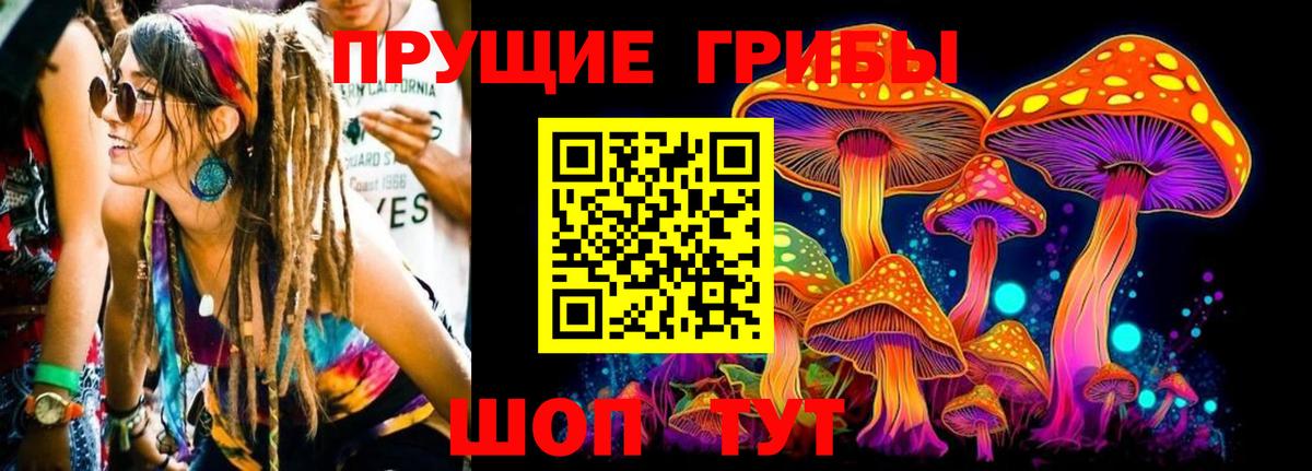 Псилоцибиновые грибы Psilocybe Полевской